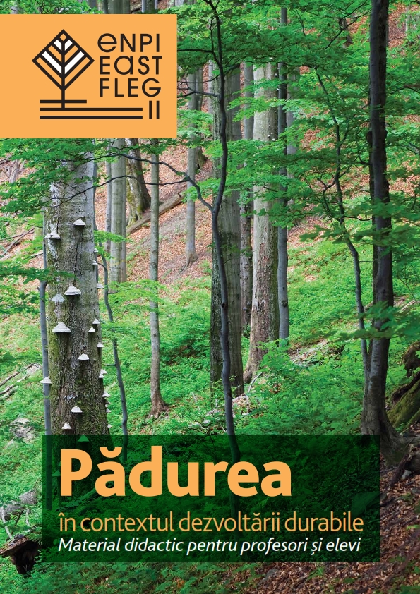 Cover of Pădurea în contextul dezvoltării durabile
